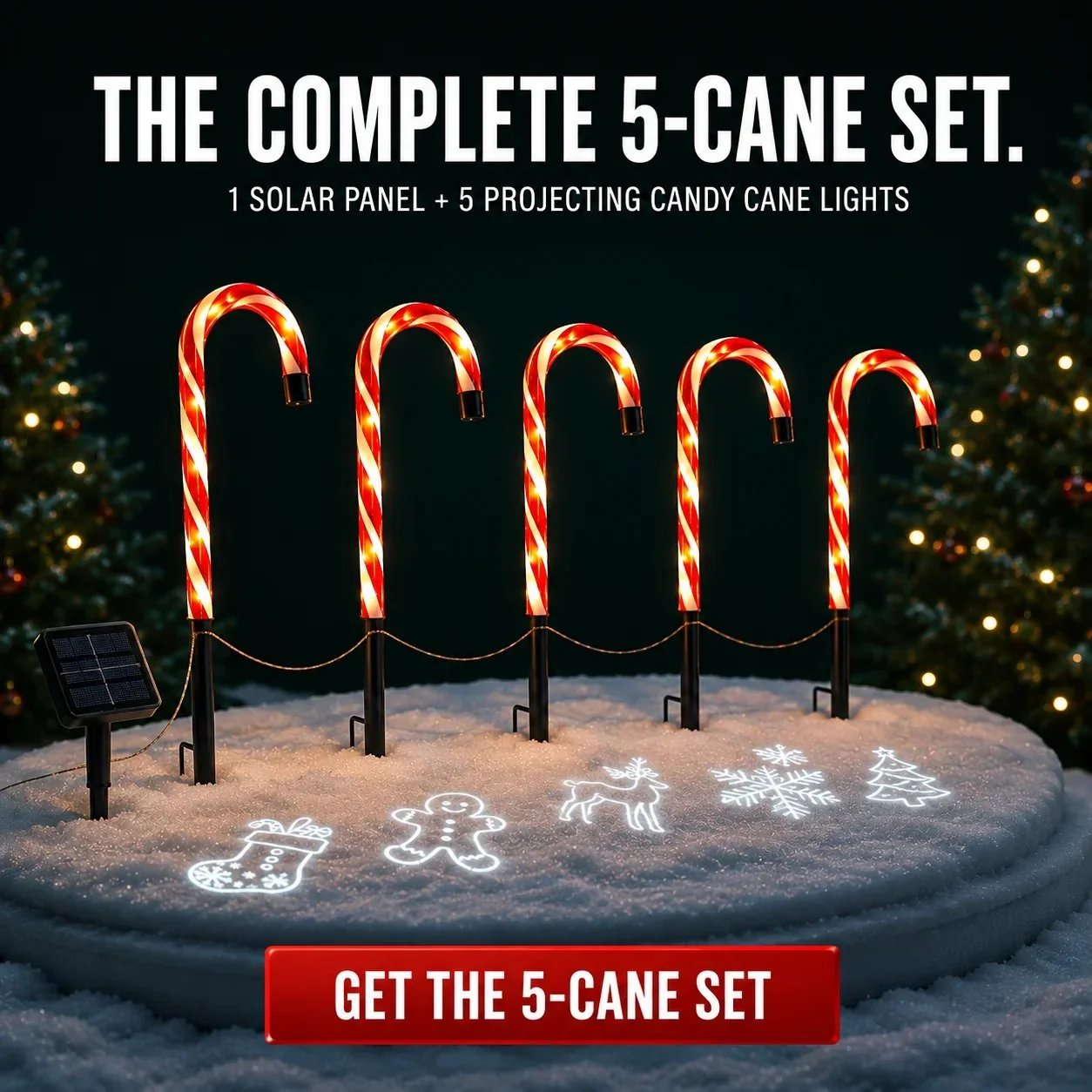 πSolar Candy Cane Projector Pathway Lights β Light the Way to Christmas