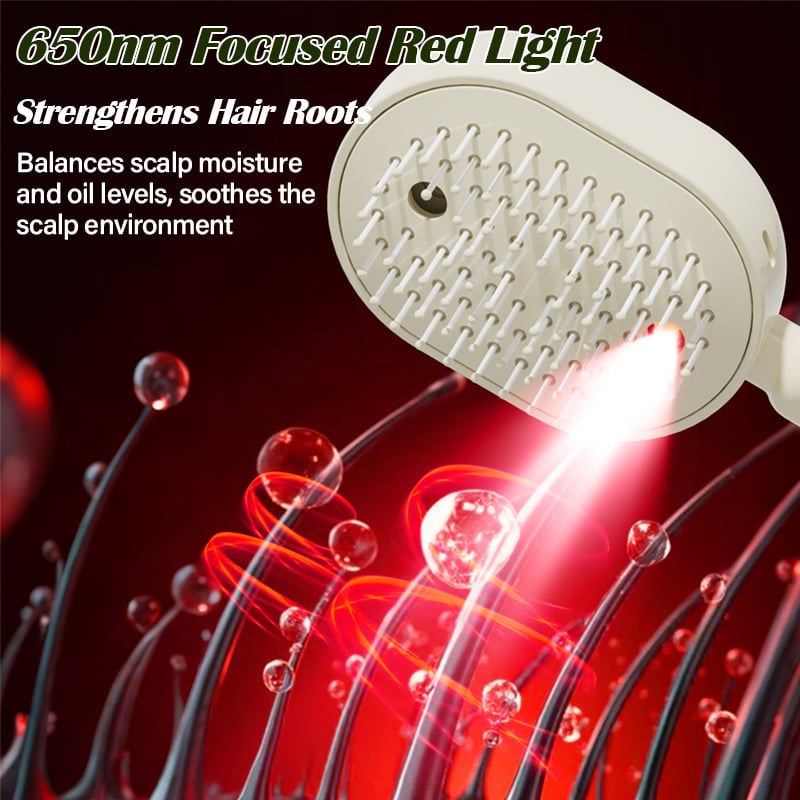 🔥LAST DAY 50% OFF - 💆2026 Electric Steaming Massage Hair Care Brush