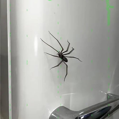 🏆New Year Sale 49% OFF🕷Spider Fridge Magnet 🎁Realistic Spider Magnets, for Refrigerator, Garage Door, or Car