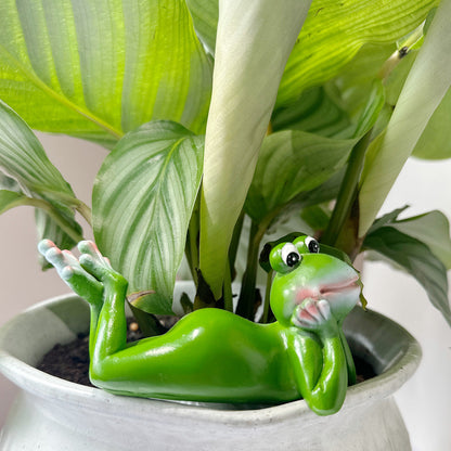 🏆Flash Sale⚡50K+ SOLD! Almost Gone -✨Resin Frog Figurines Planter Decor🐸🌿