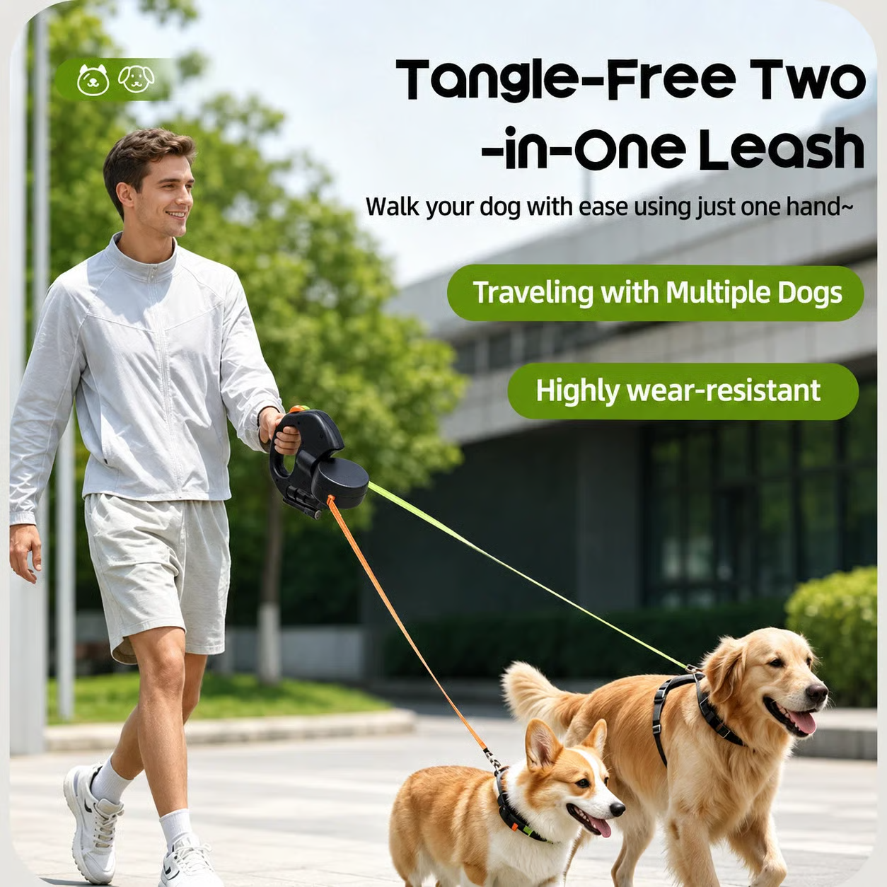 Dual retractable dog leash being used to walk two dogs