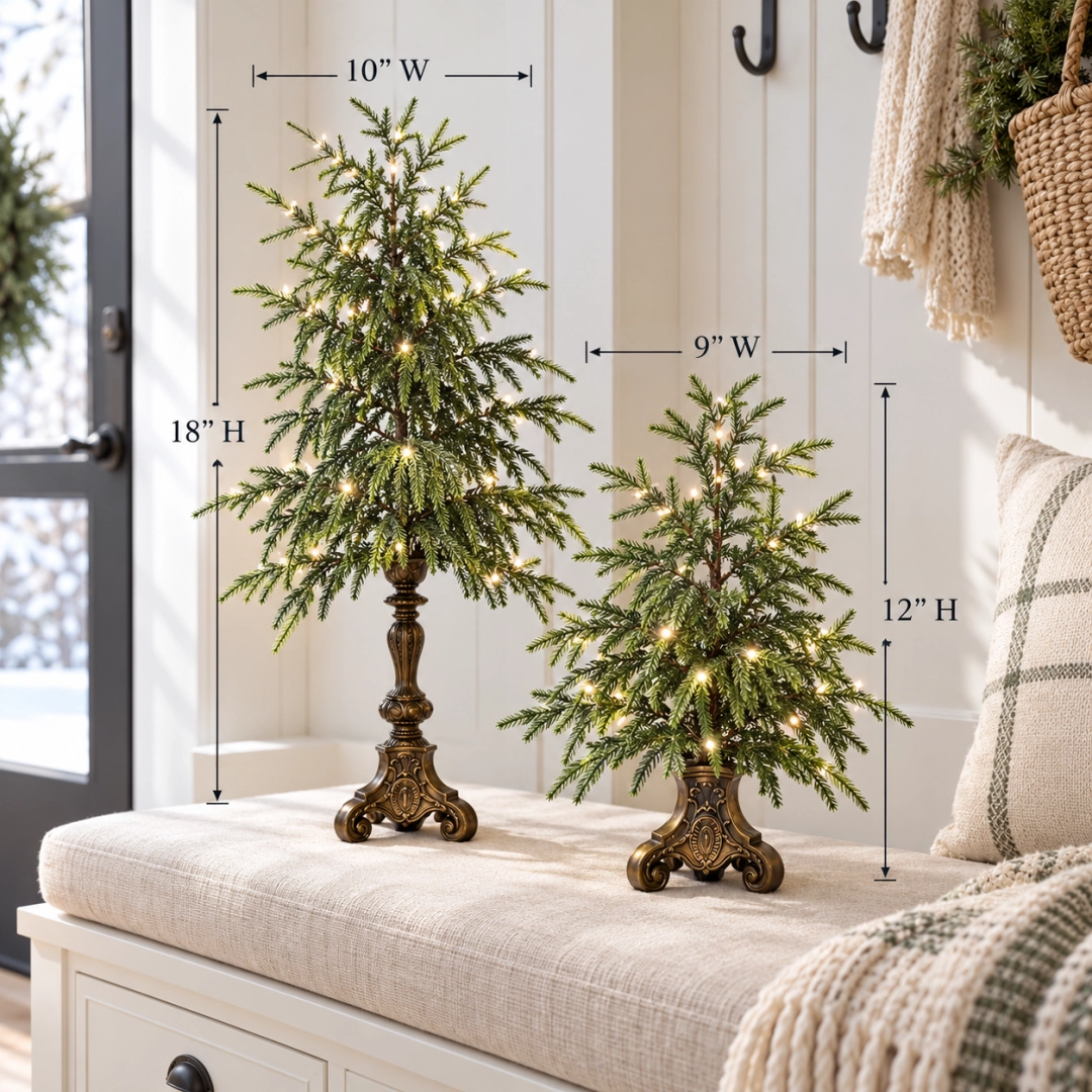 Large and small Norfolk pine trees displayed together with height measurements
