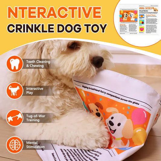 🐾Nteractive Crinkle Dog Toy
