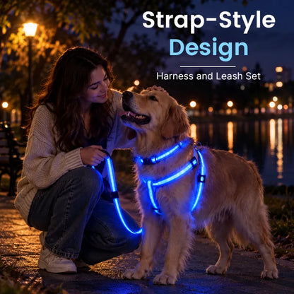 LED Light-Up Dog Harness and Leash Set