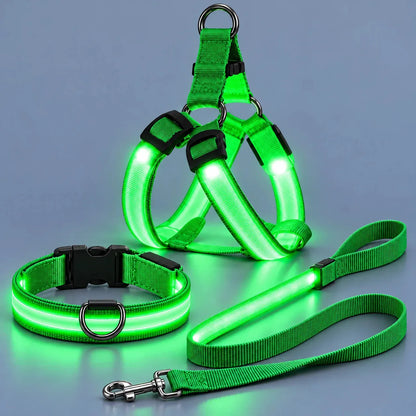 LED Light-Up Dog Harness and Leash Set