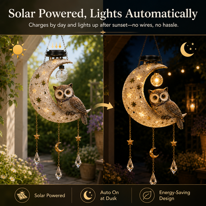 💥HOT SALE 50% OFF🔥Solar Owl Moon Garden Light