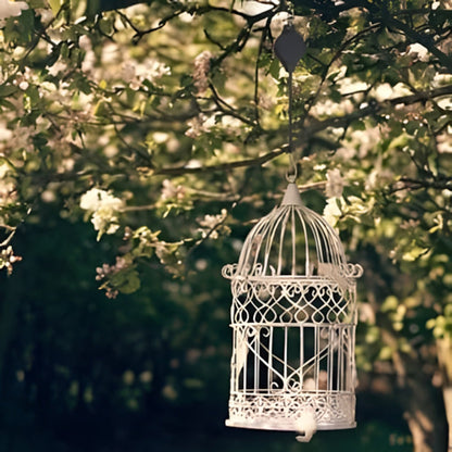 🌳Garden Plant Pulley Set for Hanging Baskets, Pots & Bird Feeders