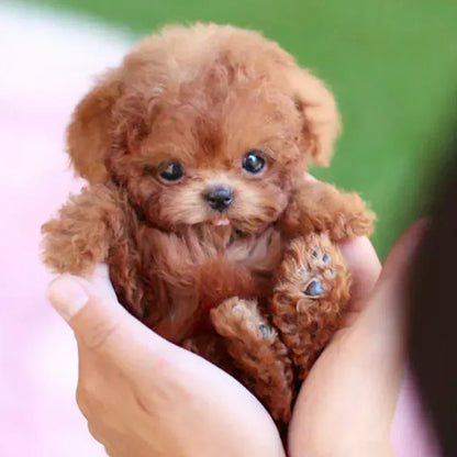 🎄Christmas-Sale 49%OFF🐶🌭Nicco - My Realistic Robot Puppy