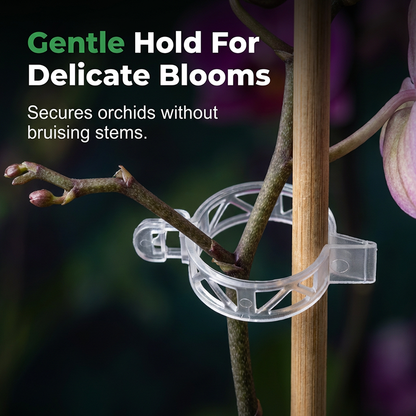 🧷 51% OFF NOW ! ⚡ 100 PCS Quick-Lock Plant Support Clips – Sturdy Support, Easy Install & Reusable Design 🌱