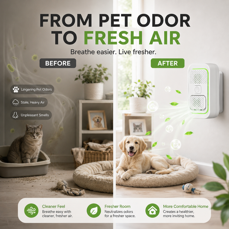 🏡Keep Your House Fresh With Pets | Compact Negative Ion Air Cleaner That Gets Rid Of Mites & Stale Odors